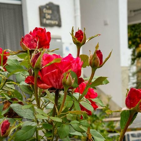 Casa Do Ferreiro Villa Gois Ngoại thất bức ảnh